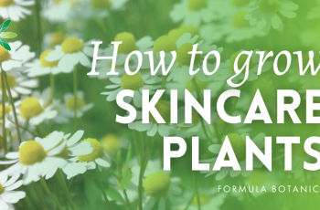 Unlocking Skincare Power: Vitamin E Plus Hyaluronic Acid Benefits Unlocking Skincare Power: Vitamin E Plus Hyaluronic Acid Benefits