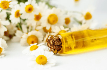 Bisabolol in Skin Care: The Calming Ingredient Your Skin Needs