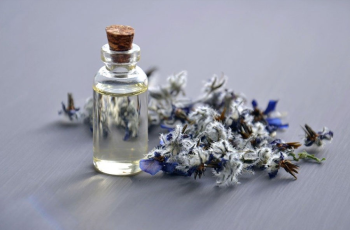 Borage Seed Oil in Skincare: The Ultimate Guide to Its Benefits and How to Use It