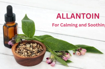 Everything You Need to Know About Allantoin in Skincare