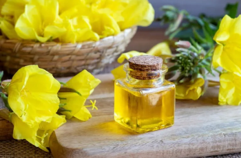 Is Evening Primrose Oil Good for Skin? Benefits, Risks & Expert Review Is Evening Primrose Oil Good for Skin? Benefits, Risks & Expert Review
